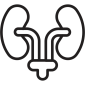 urology_10192226